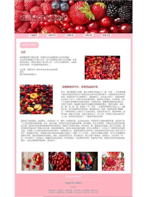 如何打造学生网站,从设计到维护
