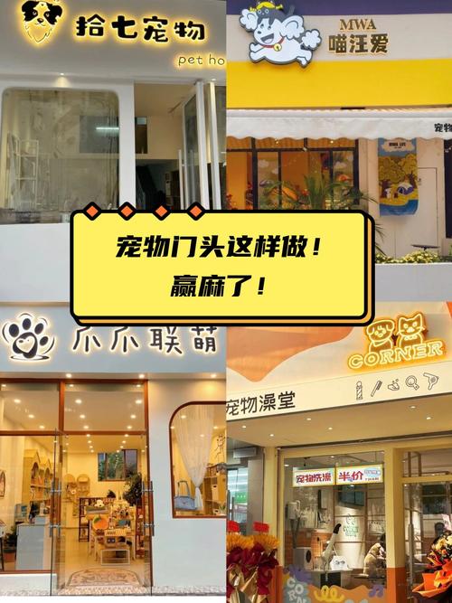 淮安网络公司，选择你真的能赢！