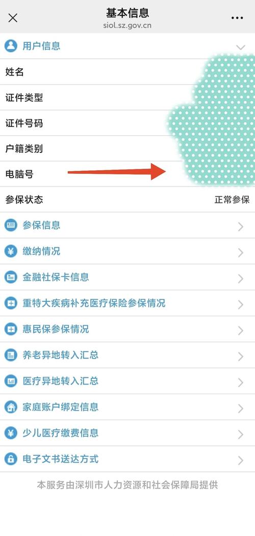 深圳社保电脑号查询指南