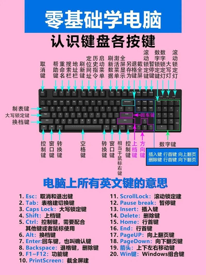 电脑绘图入门指南,从基础到高级,轻松掌握所有功能