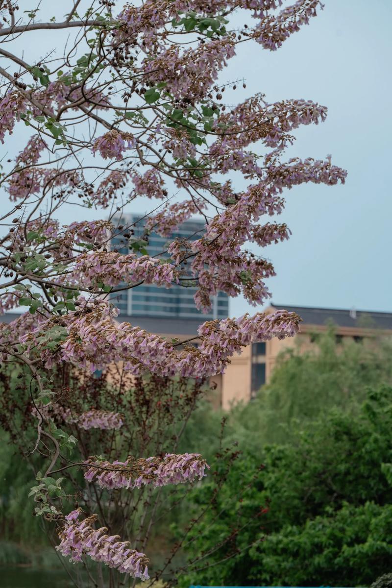 温岭建站指南，让温岭成为你的理想城市