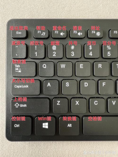 电脑打字教程，提升工作效率的必备工具