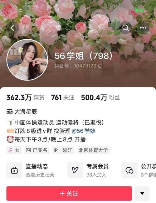 抖币代刷与粉丝点赞,如何在粉丝点赞中找到平衡点?