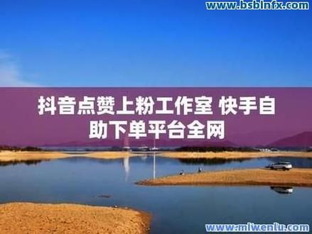 如何通过抖音赞代免费和dy免费赞5网站来提升播放量