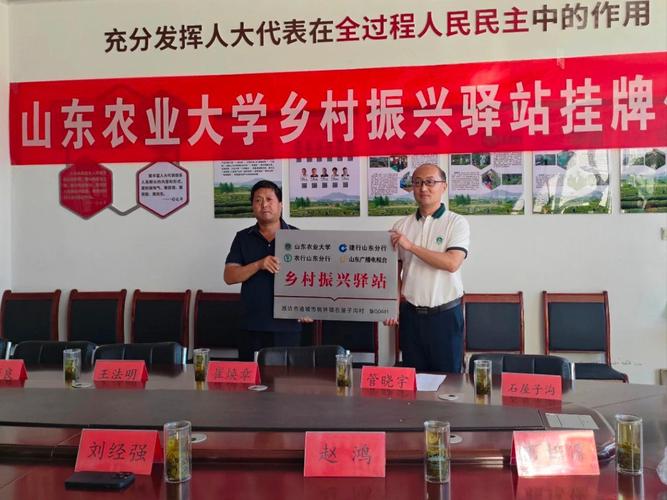 诸城SEO优化指南,如何让网站在诸城脱颖而出
