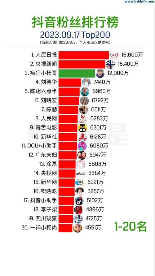 抖音小号代网与ks点赞,快速提升粉丝数的秘密