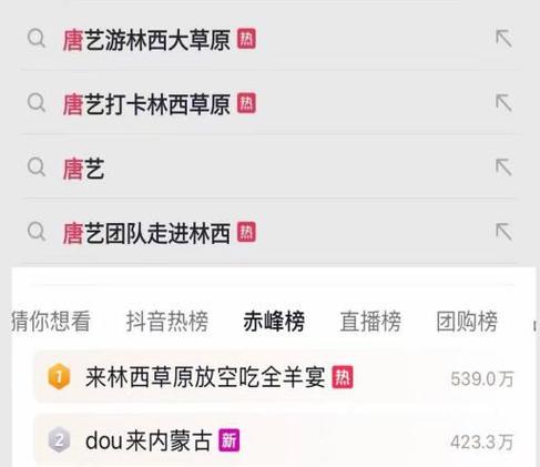 抖音自助赞平台,24小时发货,便宜,全业务全人群,助力你的内容运营