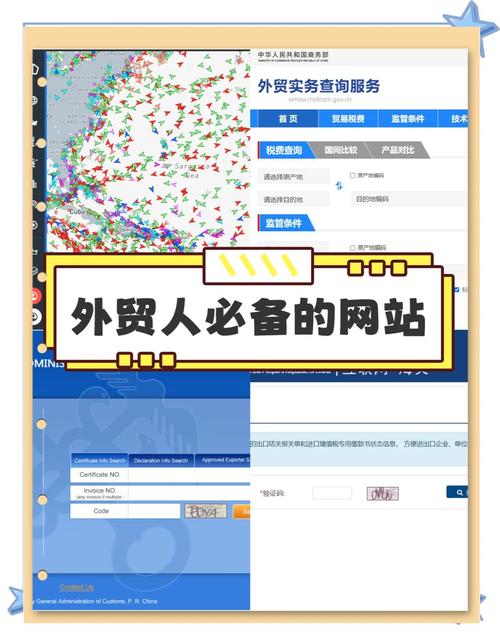 外贸网络公司推荐指南