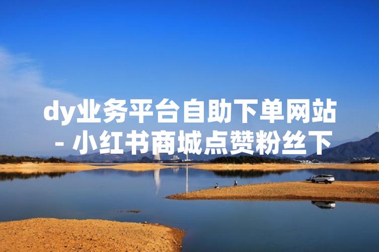 dy代网自助下单平台，秒增长1%