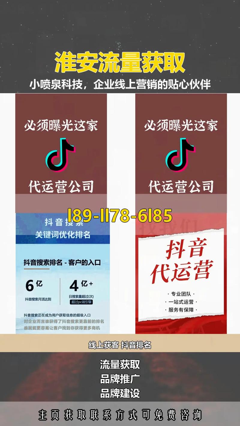 抖音最快代平台,技术驱动的流量获取之道