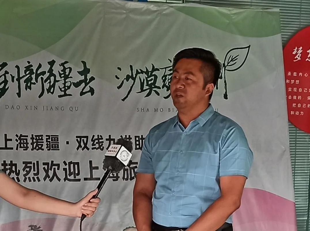 如何打造巴楚网站，让巴楚更强大