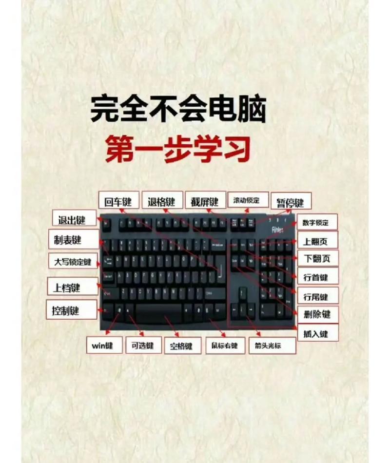 学习电脑的基础知识,如何高效使用女生用的笔记本电脑,特别是Windows 7