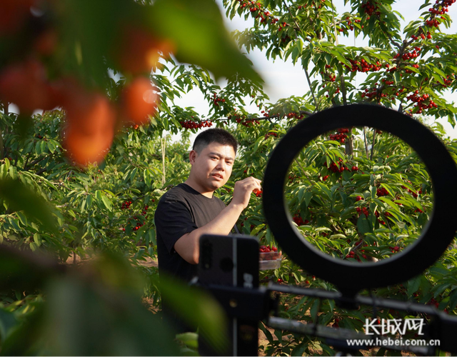 自助快手下单平台推荐