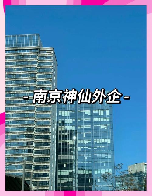 你可能不知道的,南京网络有限公司—一个值得投资的未来