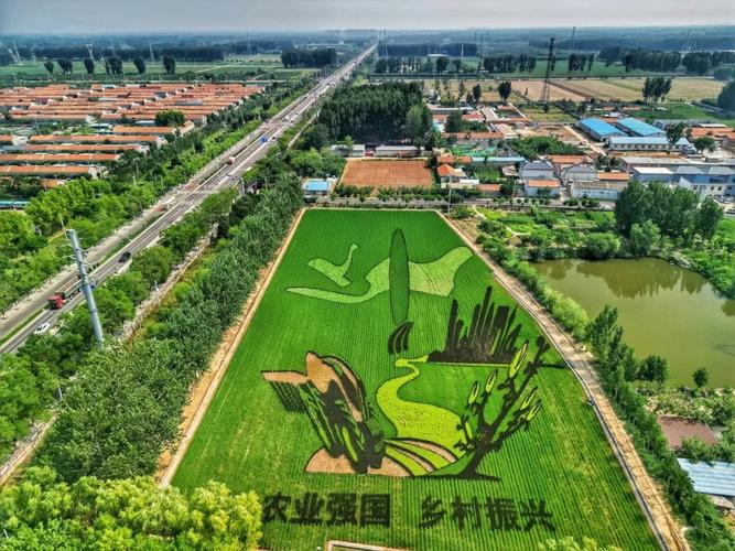 上饶网络，助力农业创新，开启乡村振兴新篇章