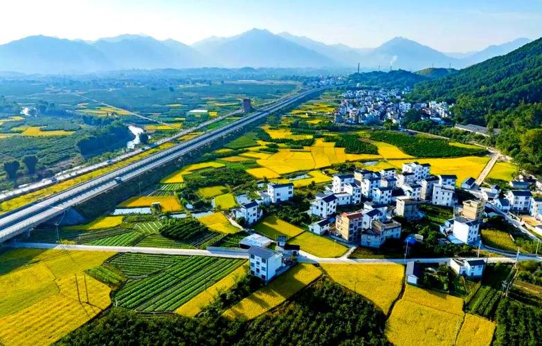 上饶网络,助力农业创新,开启乡村振兴新篇章