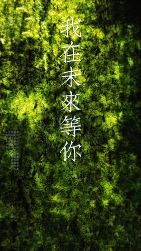 你的网站，才是你的未来