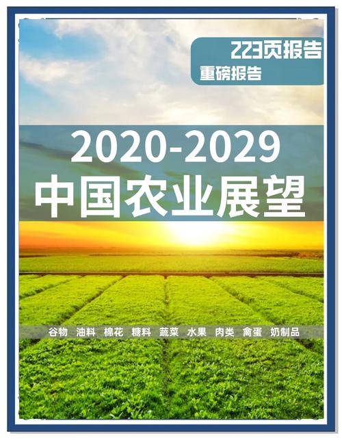农业作者SEO优化,从入门到进阶指南