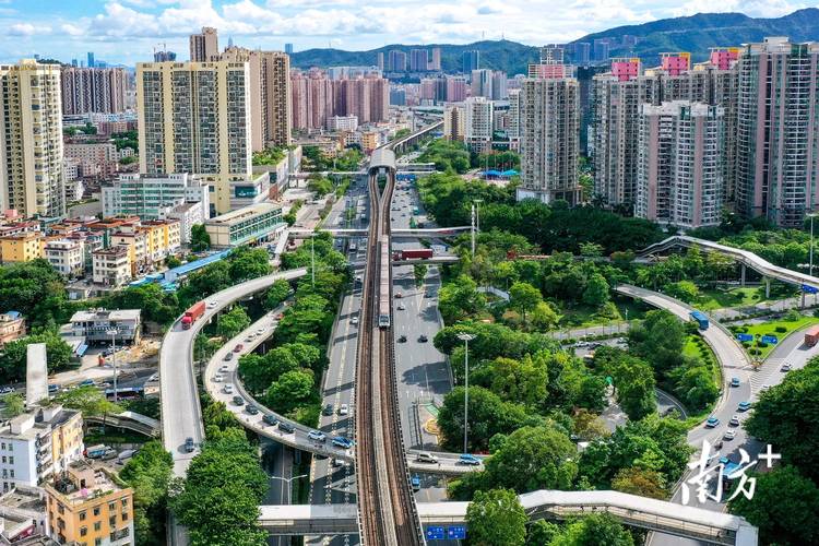 龙岗站建设指南,构建高效、可持续的 digital presence
