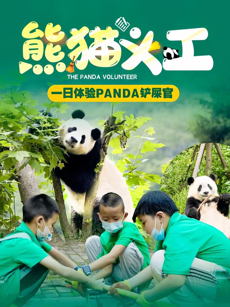 如何让熊猫代抖音成为主流