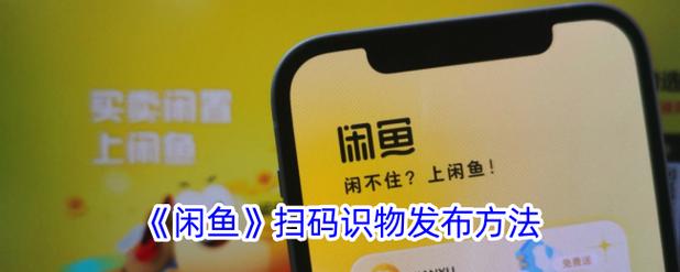 如何快速获取到你想要的内容,零星商品闲鱼与视频点歌平台