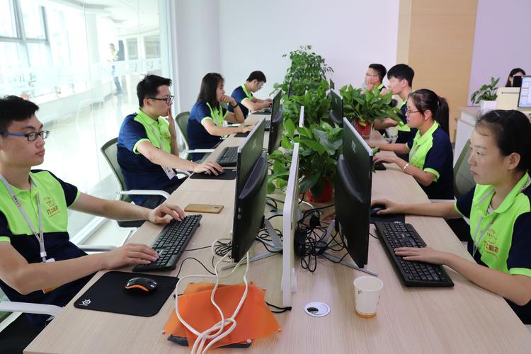阳光网络公司,打造个人品牌,开启创业之路