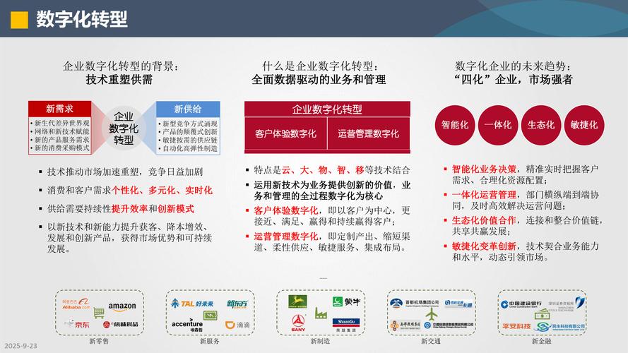 共建网络公司,助力企业成长的数字化转型之路