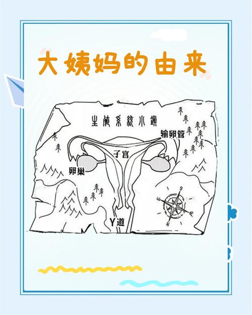 洛阳大姨妈网络推广指南