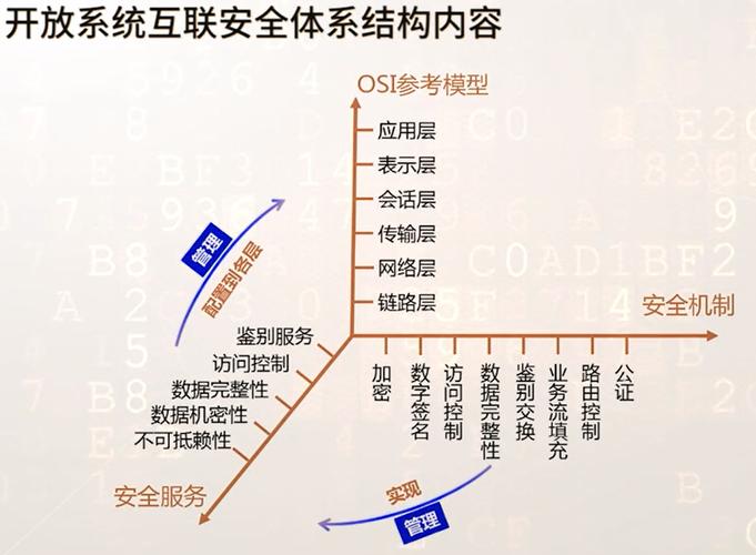 如何构建一个高效、安全的网络网站