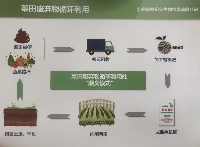 顺义公司网络推广指南
