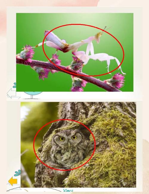 1.为什么保护色设置重要？