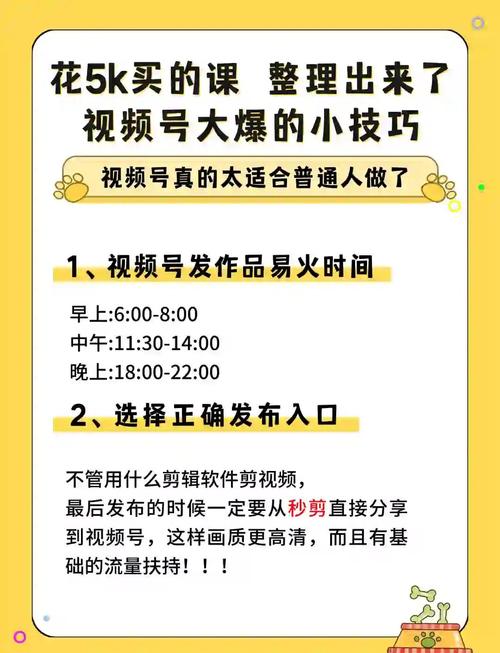 短视频平台粉代刷网，如何高效刷取粉丝数据？KISS 网站）
