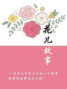 花创网络，从零到万众共舞的你的网络故事之旅