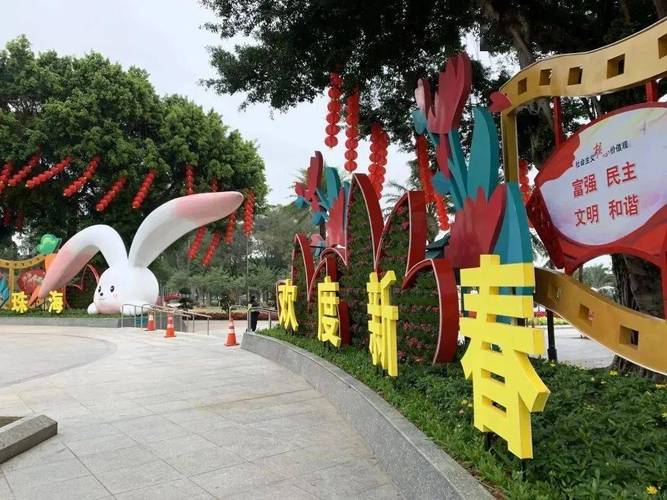 珠海网络平台建设,一场无声的数字文明之花