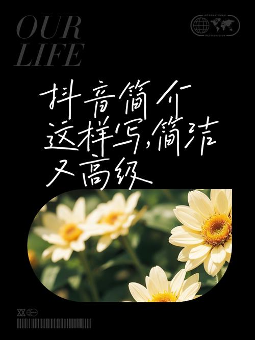 快手和抖音推荐,哪个更适合你的内容?