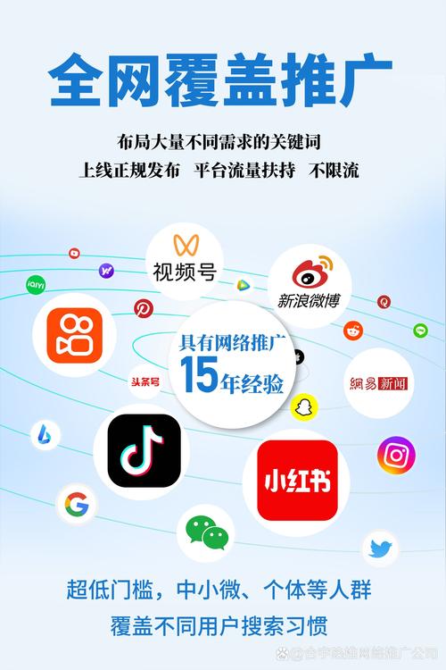重庆网络推广，定义与现状