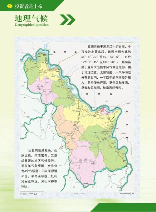 江津网络企业,商业机会与投资指南