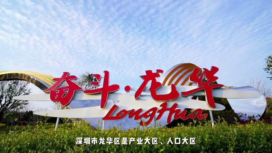 深圳龙华网络推广,机遇与挑战