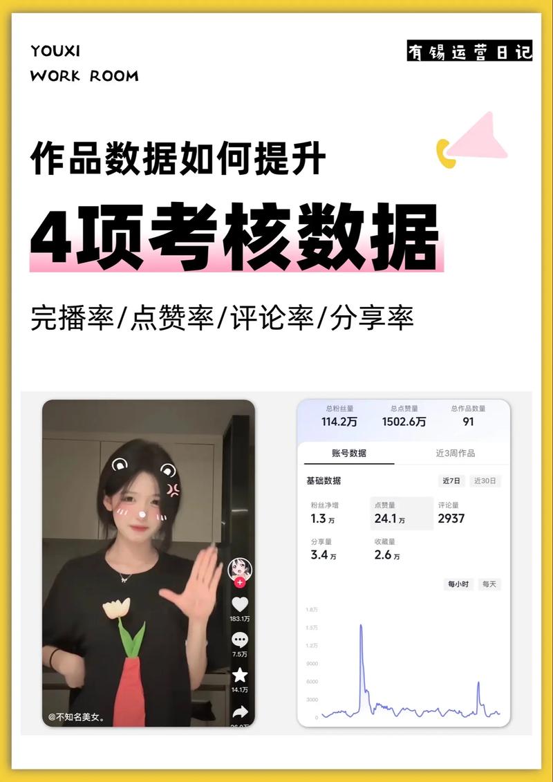 抖音赞平台，高效获取用户数据的优质选择