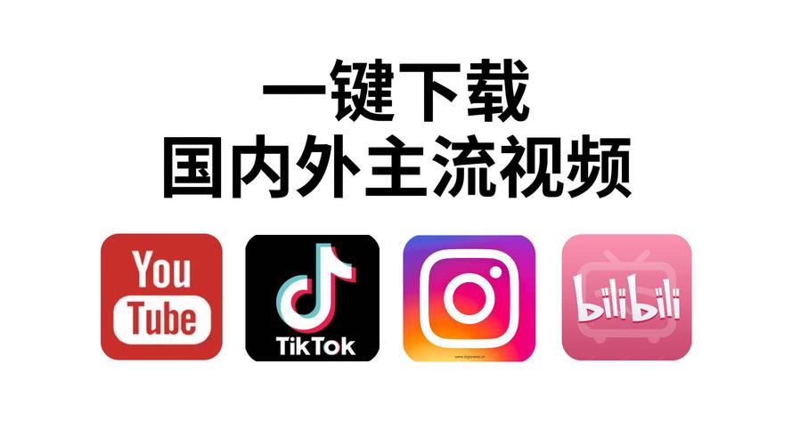 短视频双击播放网站推荐，轻松获取，助力传播