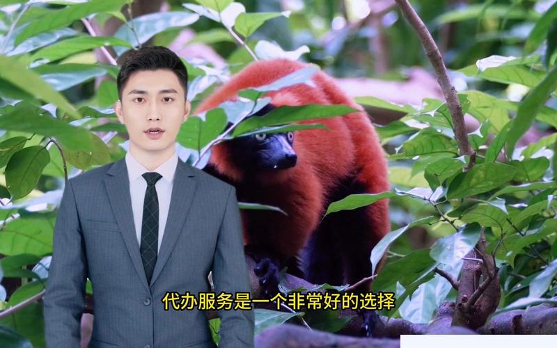 成都SEO优化课程,助您一臂之力