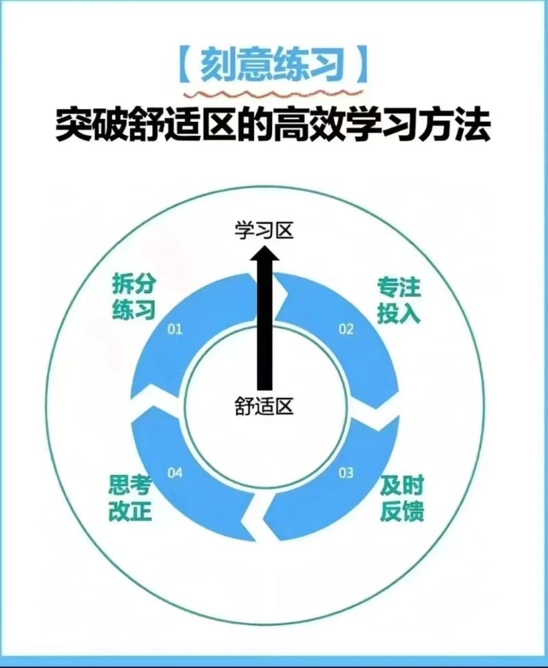 微优网络,高效学习的另一种新范式