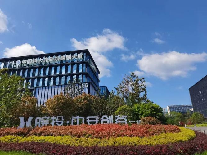 合肥公司建设，打造专业、高效、精准的数字企业