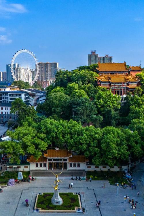 衡阳作为湖南的一个重要城市,拥有丰富的网络基础设施和技术和丰富的资源,能够满足不同用户的需求。以下将详细介绍衡阳网络技术,包括其优势、特点以及如何在衡阳地区应用