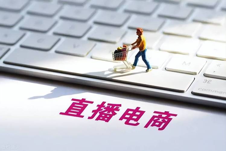 直播电商，双击播放平台与低价业务网站的融合之道