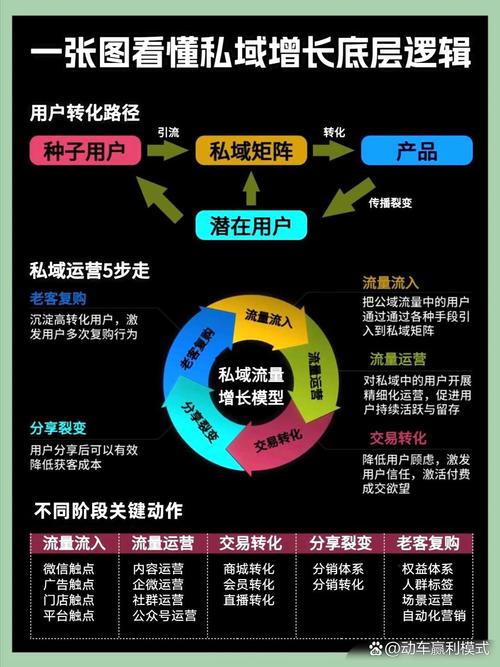 蒜黄营销的传统方式，从创意到流量，从数据到用户
