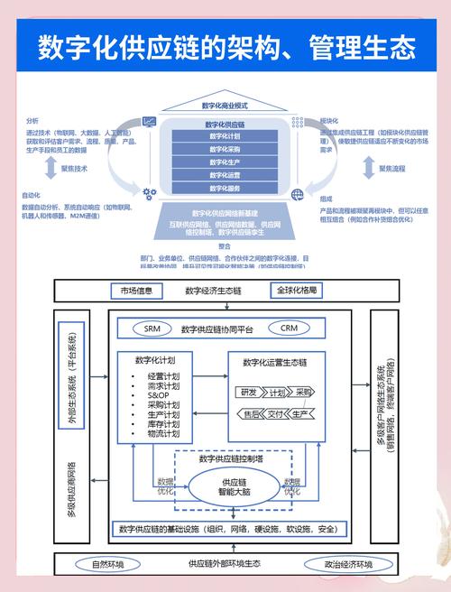 小企业网络建设,构建数字化未来的重要力量