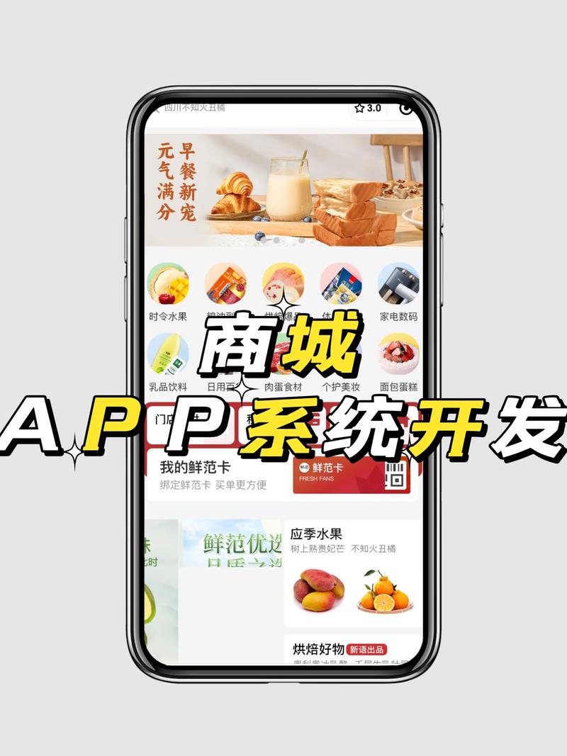 开发网络商城,从需求分析到运营管理