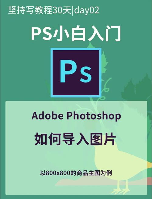 教程,如何在HTML中插入网络图片