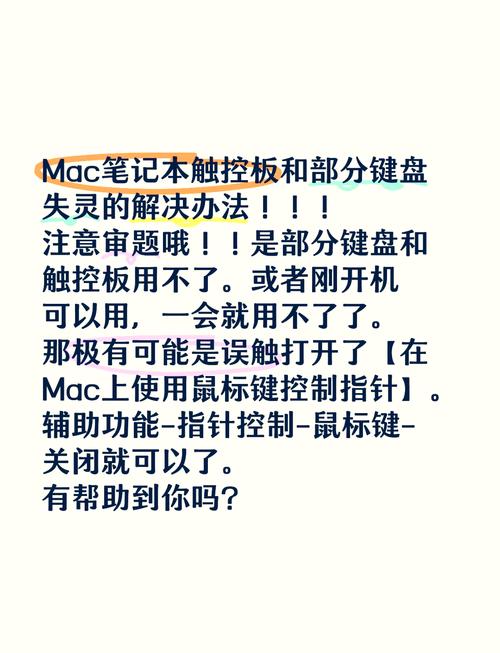 键盘错乱的原因与解决方案，苹果电脑的报价与选择